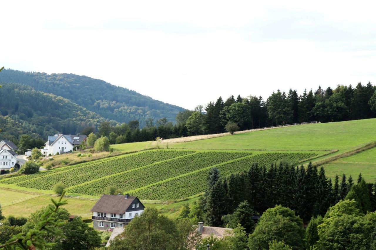 Gretel Von Birne Hotel วินเทอร์แบร์ก ภายนอก รูปภาพ